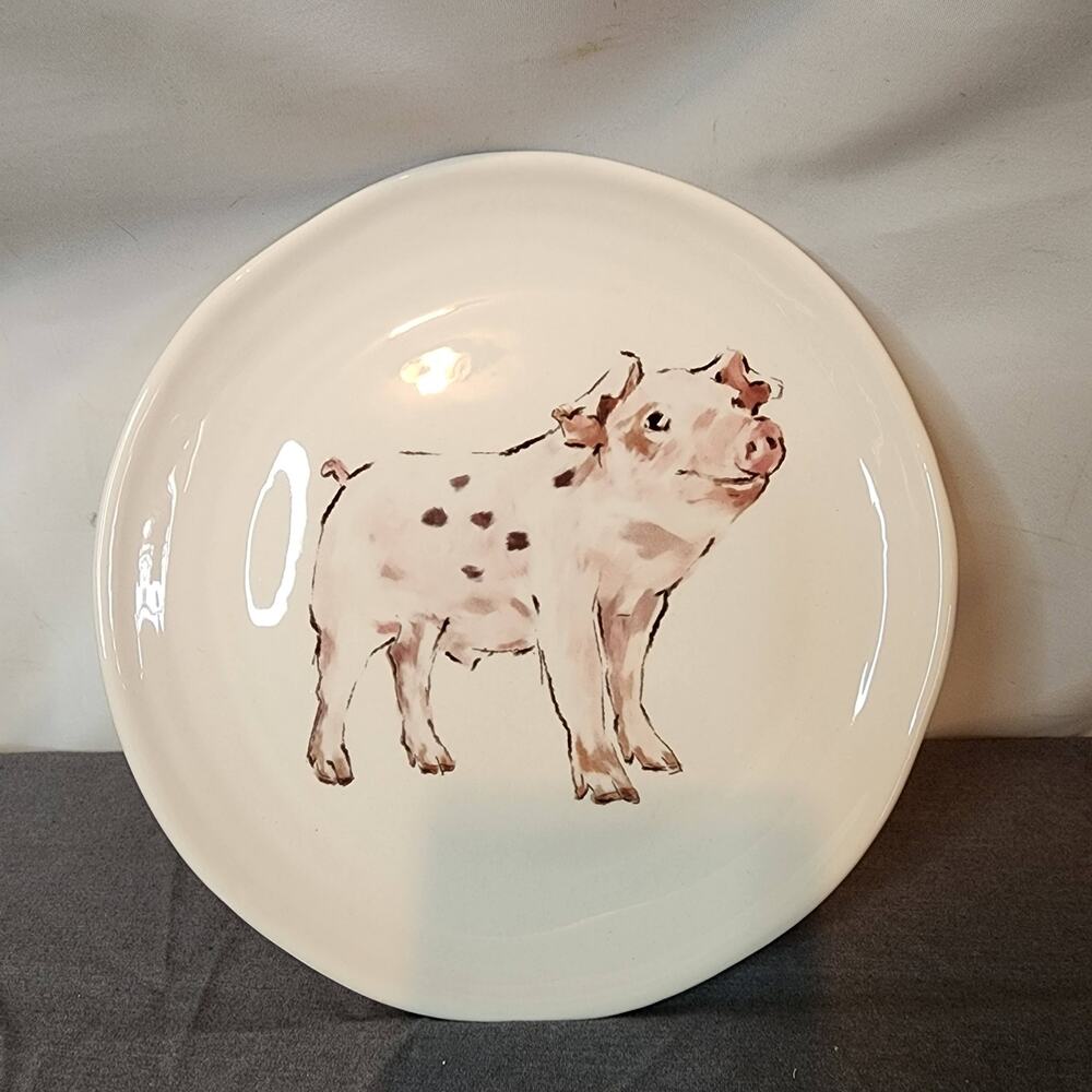 Adorable Whimsical 8.75 in Piggy Plate form Pier 1 Imports